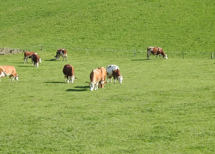 شقة Hoellwarth ستام